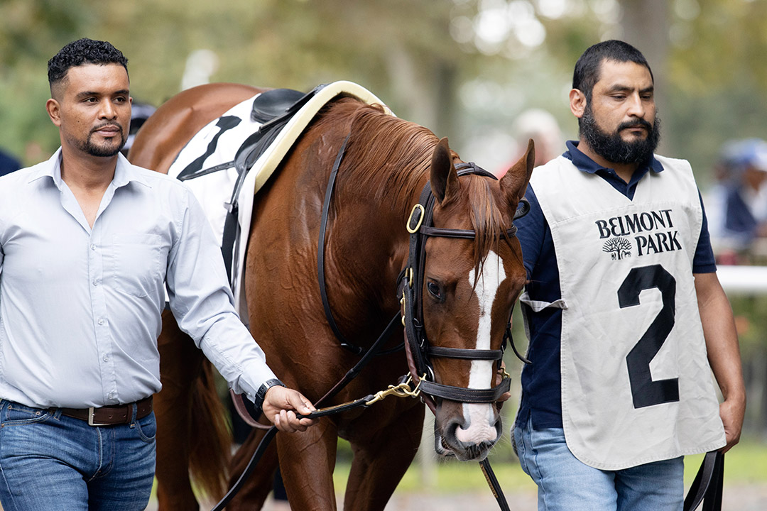 The Club at Belmont Park in October 2021