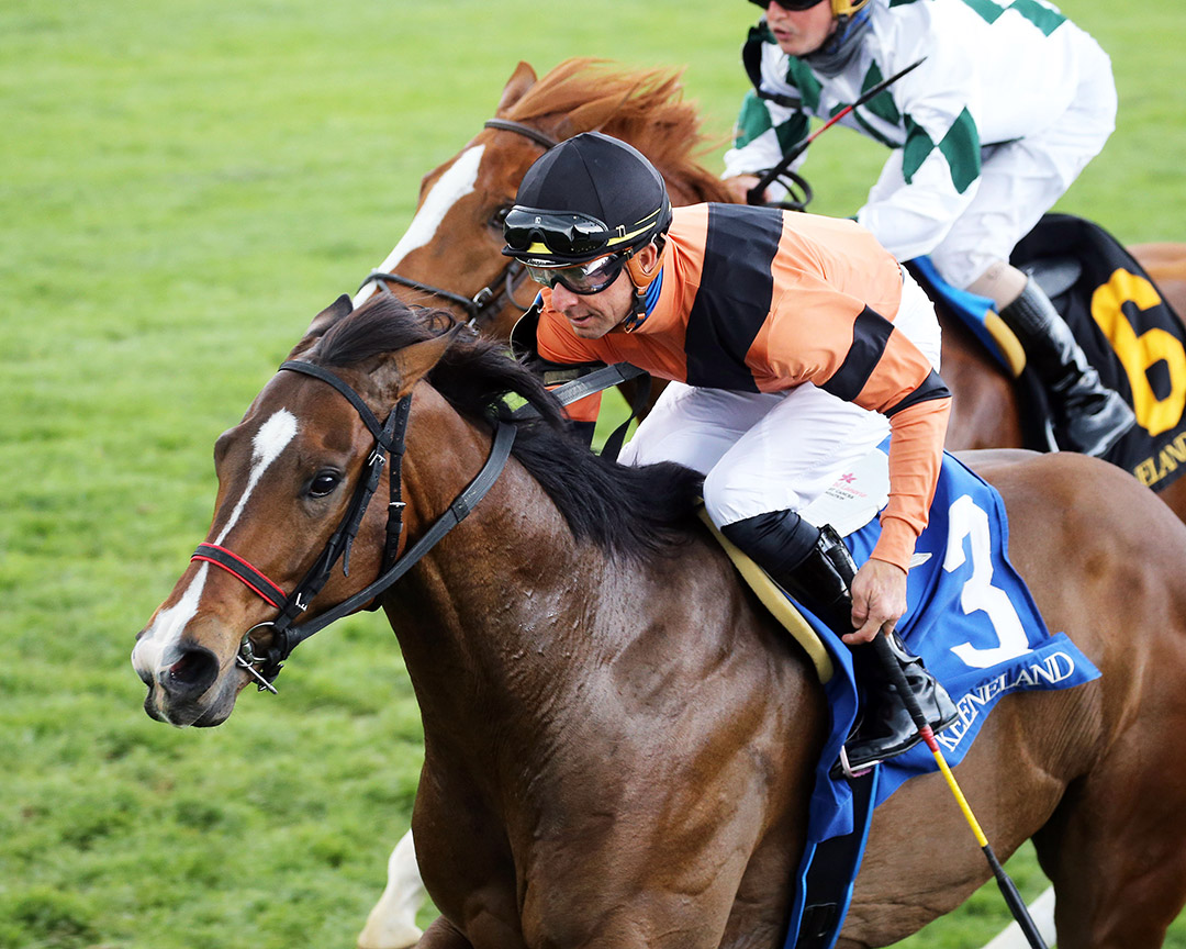 The Connector wins an April 18 allowance at Keeneland