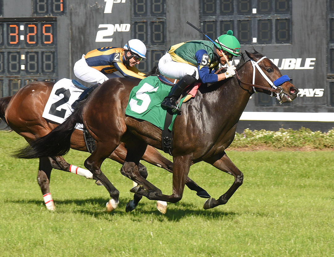 The Critical Way wins the 2021 Turf Dash at Tampa Bay Downs