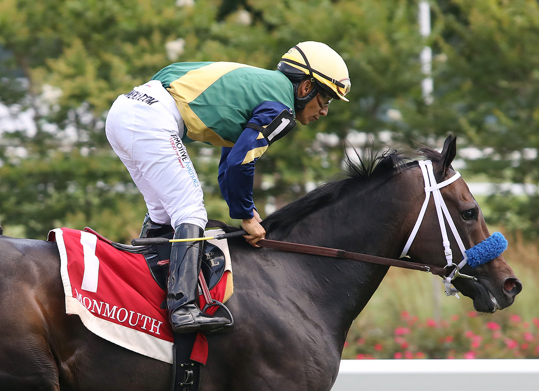 The Critical Way wins the 2021 Wolf Hill Stakes at Monmouth Park