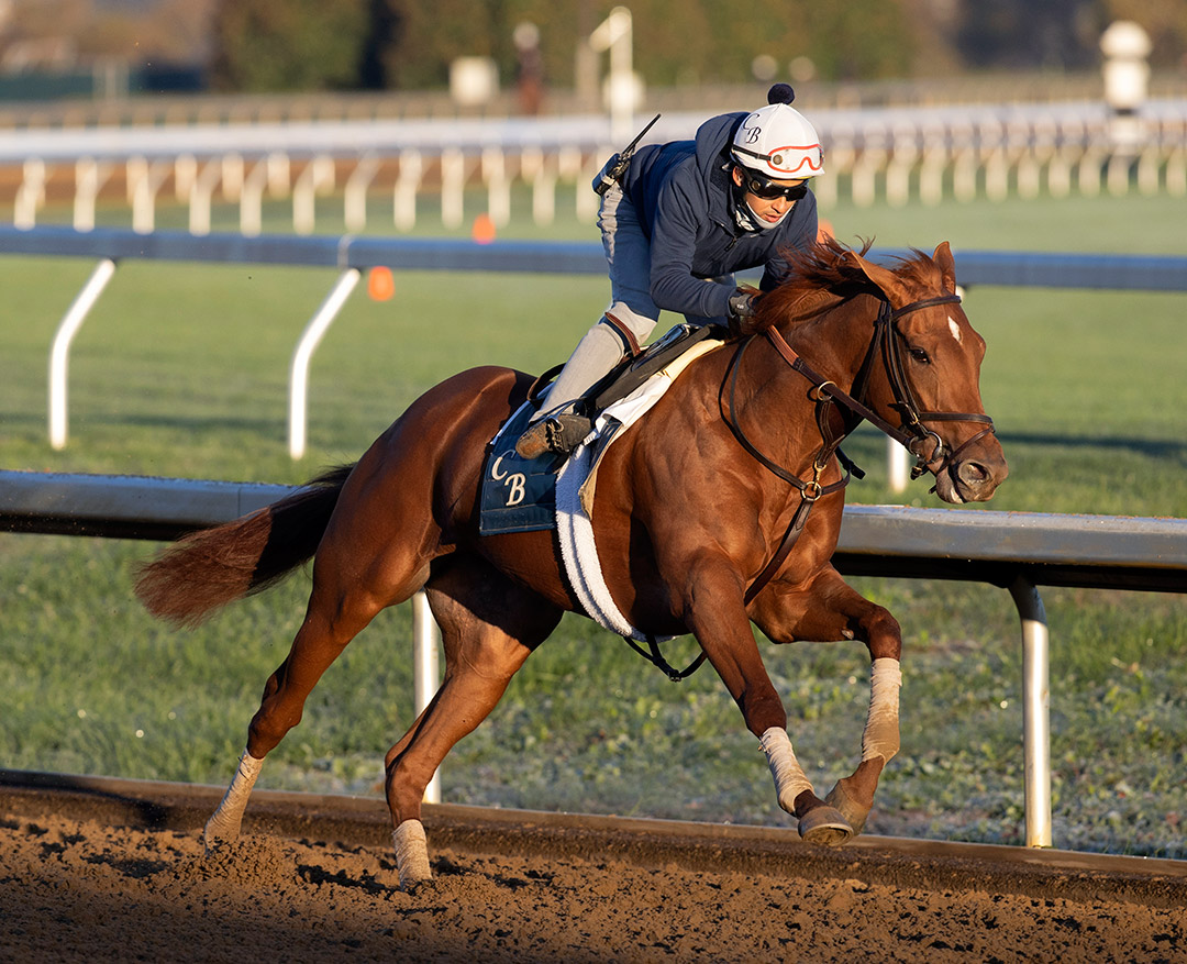 The Grass is Blue trains at Keeneland Racecourse on Oct. 31