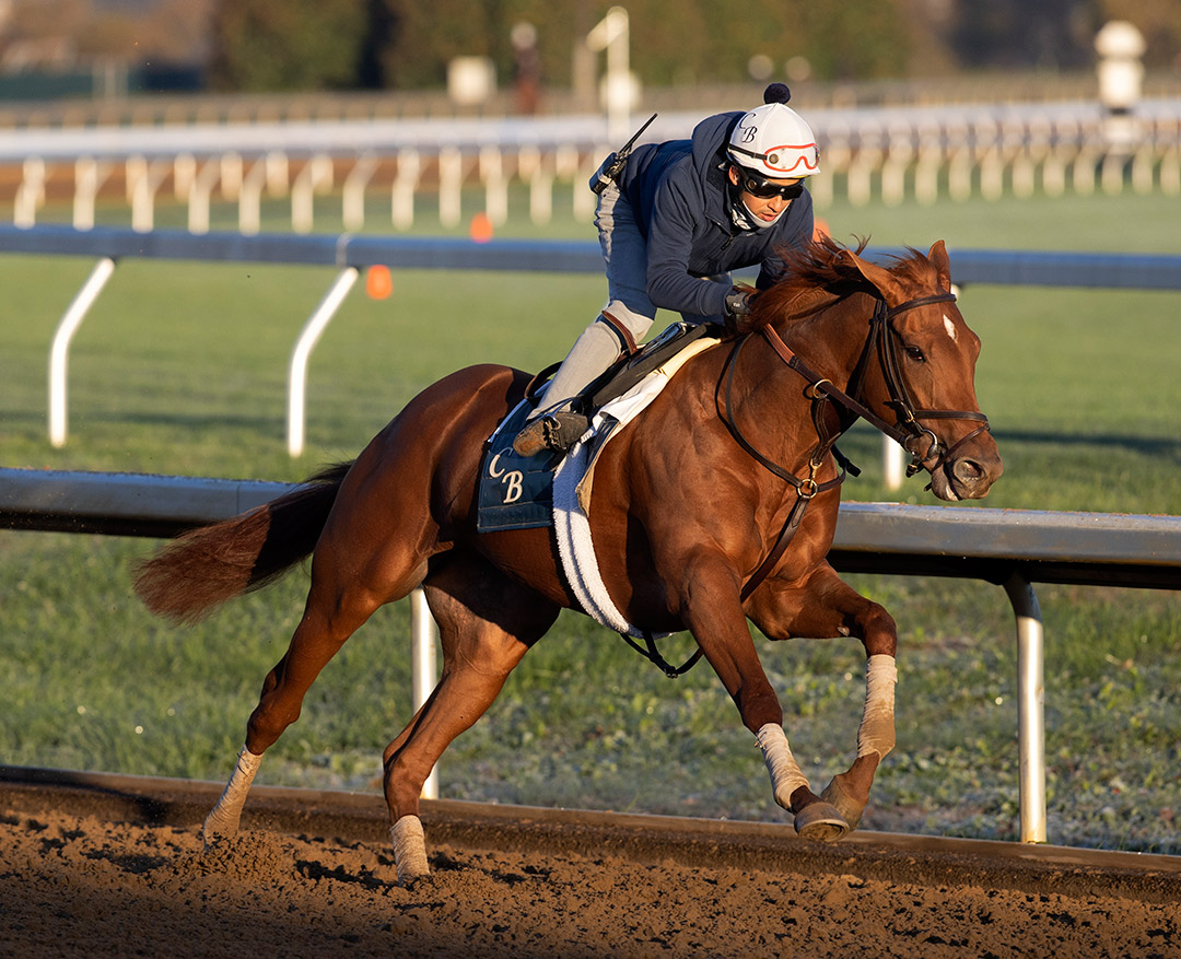 The Grass is Blue trains at Keeneland in October 2020