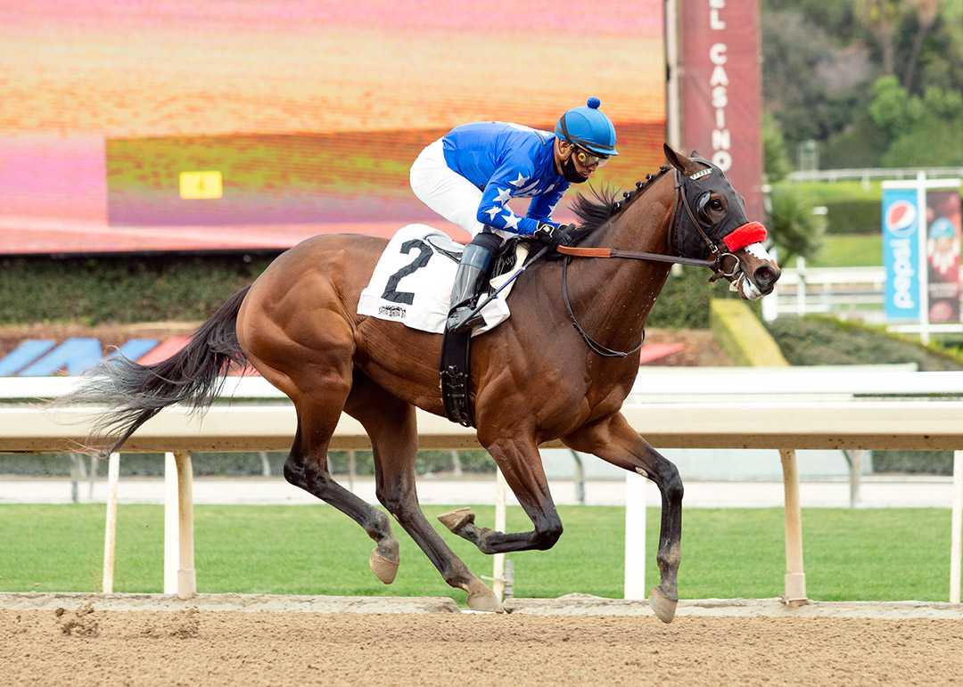 The Great One wins a Jan. 23 maiden race at Santa Anita