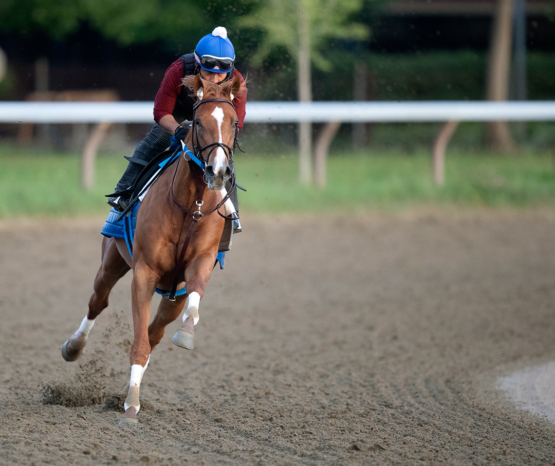 The Important One trains at Saratoga Race Course in July 2020