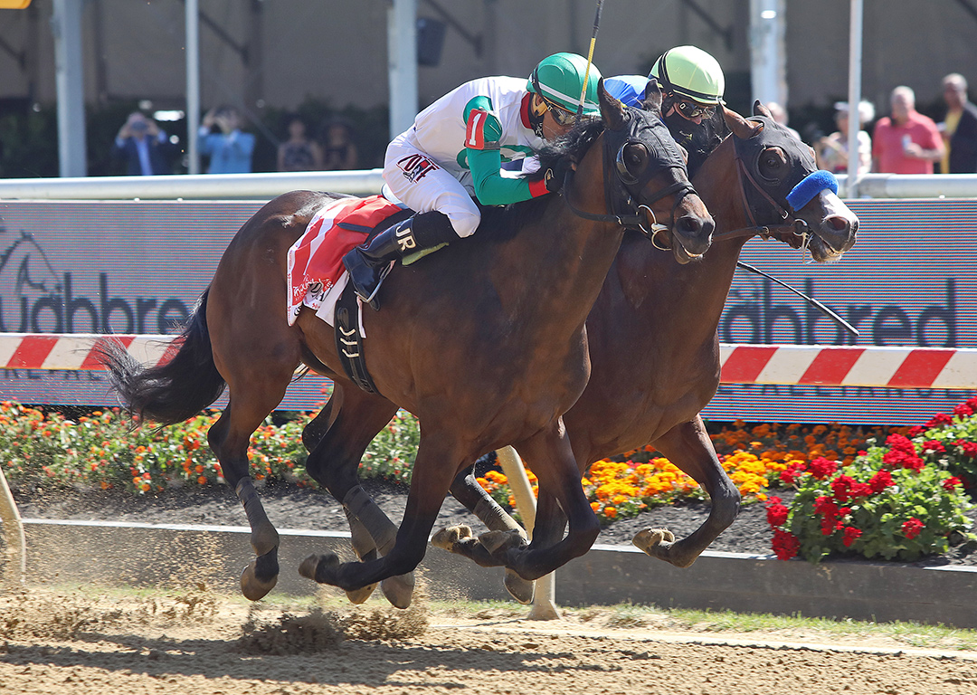 The King Cheek, outside, wins the 2021 Sir Barton Stakes at Pimlico Race Course