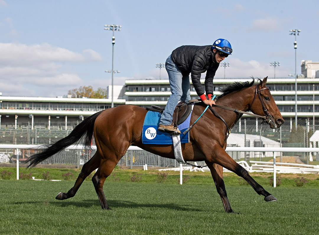 The Lir Jet trains at Churchill Downs on April 26