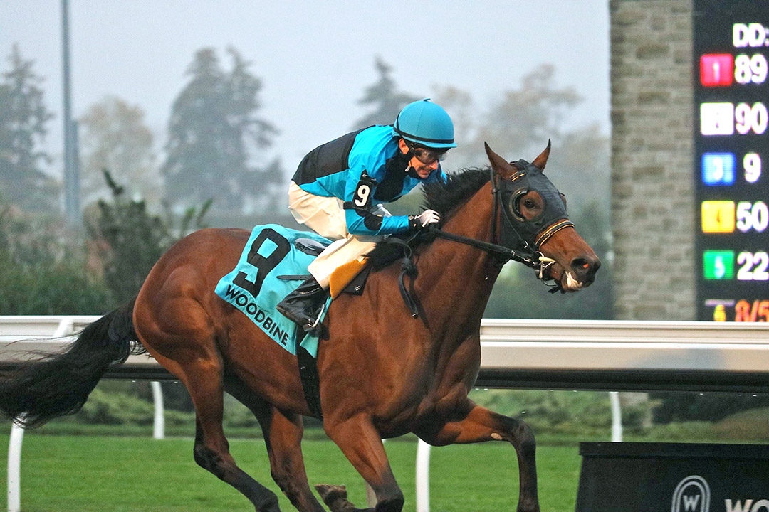 The Minkster wins the 2021 Coronation Futurity at Woodbine Racetrack