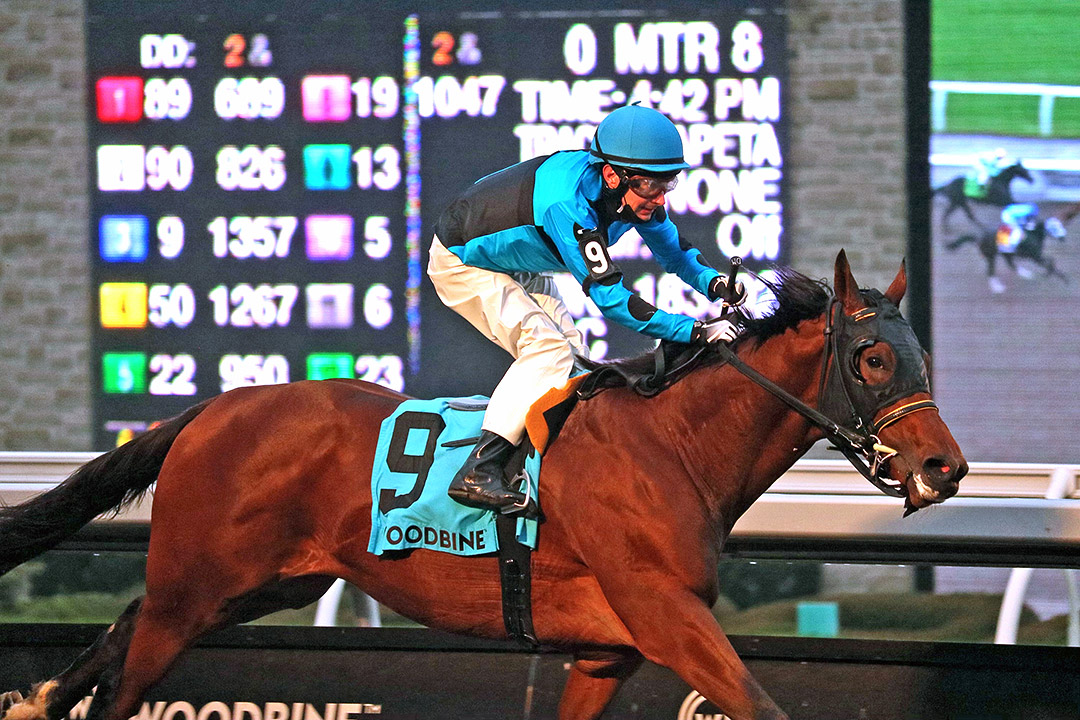 The Minkster wins the 2021 Coronation Futurity at Woodbine