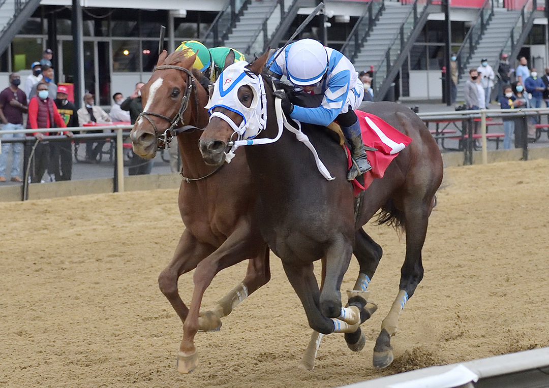 The Reds (left) wins the Tesio by disqualification at Pimlico Race Course
