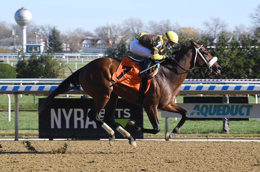 The Sound wins a Nov. 29 allowance at Aqueduct