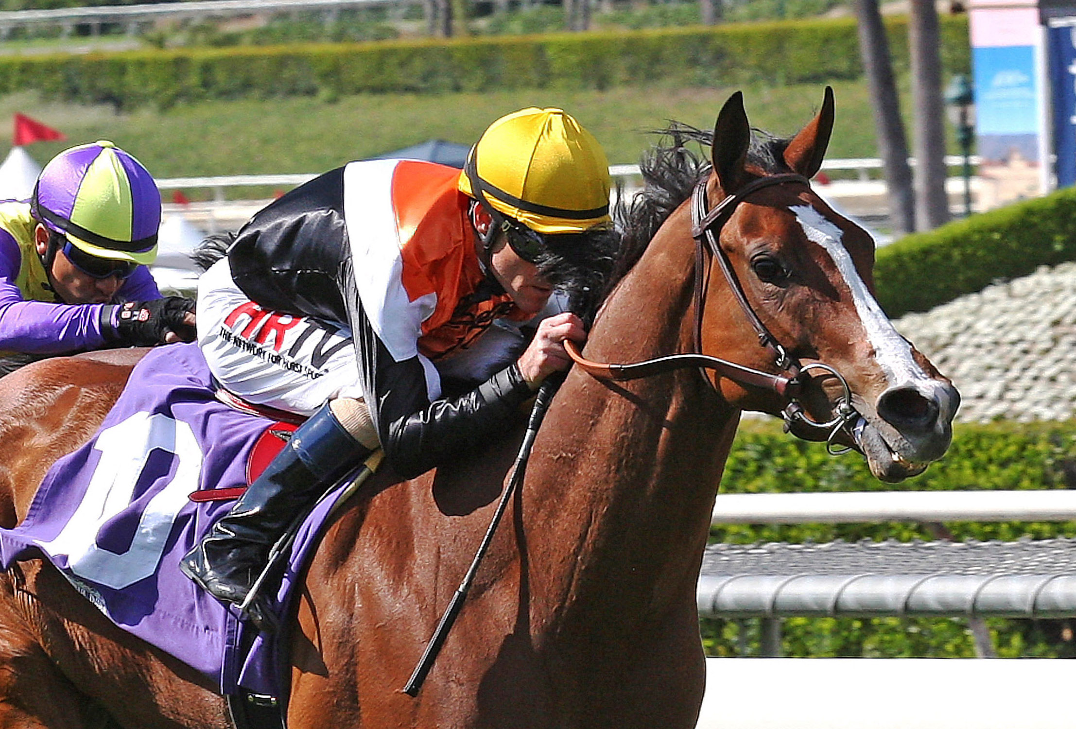Theatre Star wins an allowance race