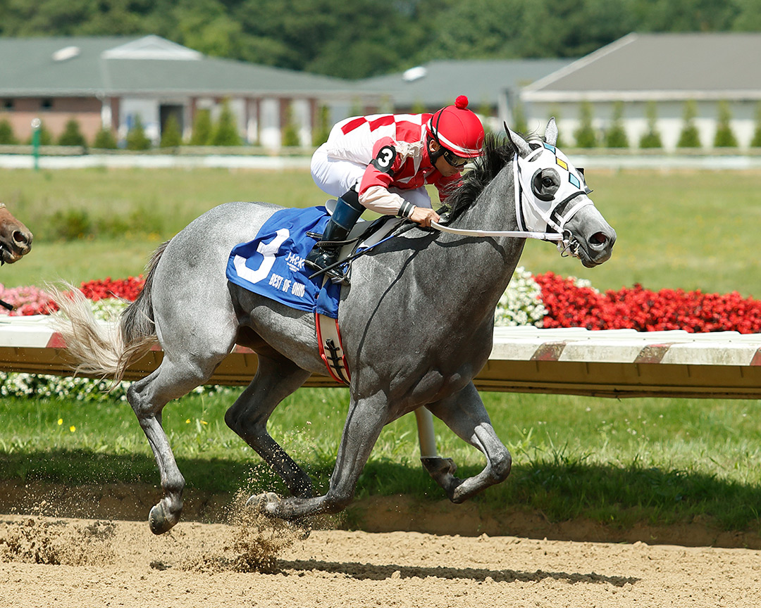 Thedayofthegrey wins the 2021 Best of Ohio Cleveland Kindergarten Stakes at Thistledown