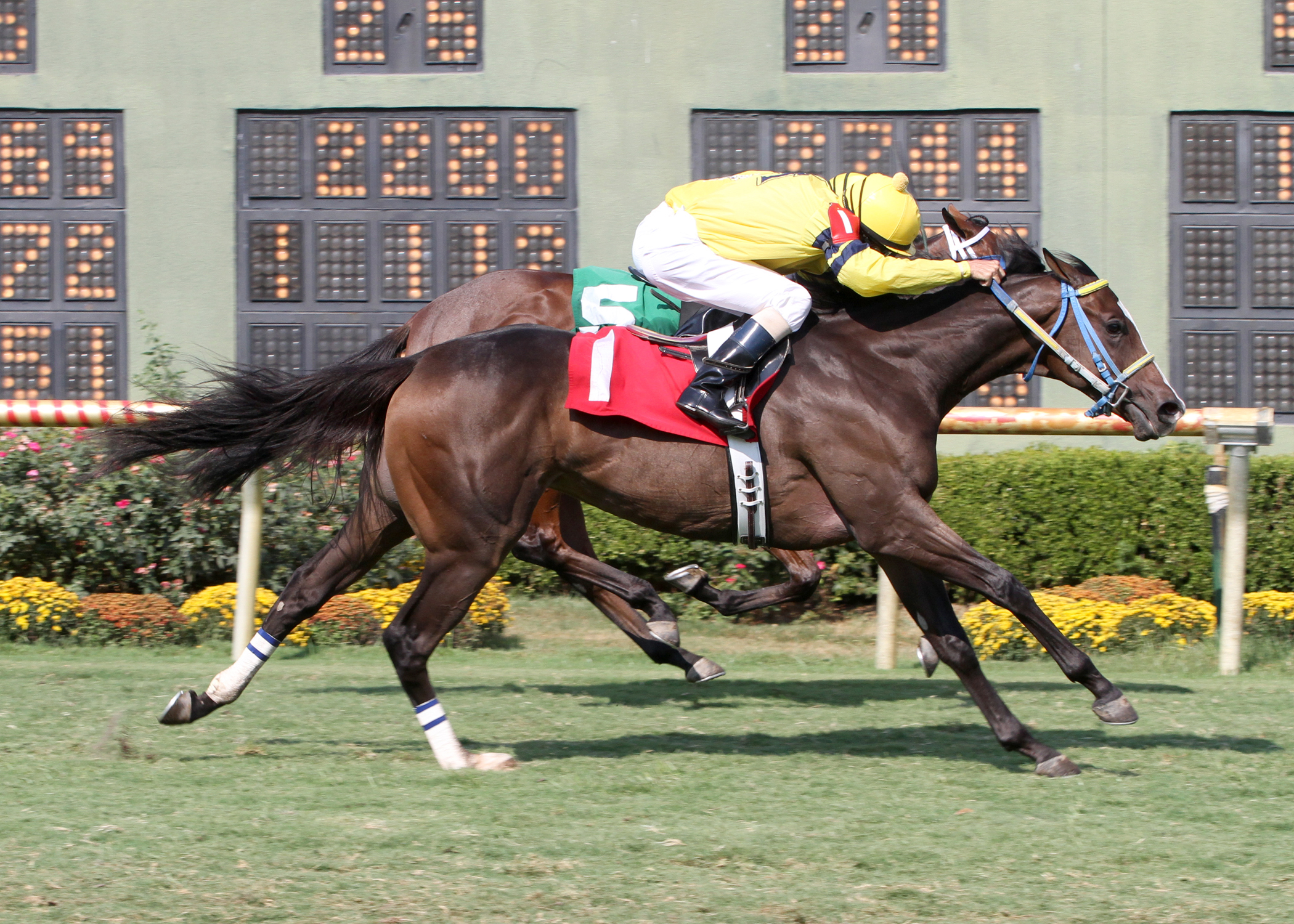 Thegirlinthatsong wins the Happy Ticket