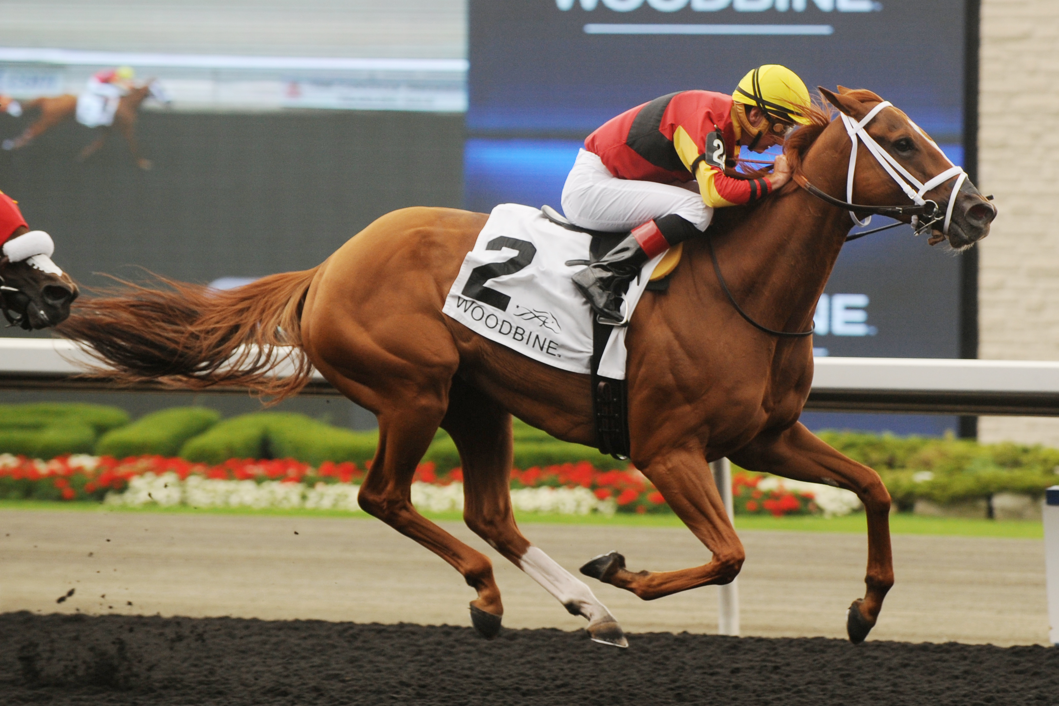 Theogony wins the Belle Mahone Stakes