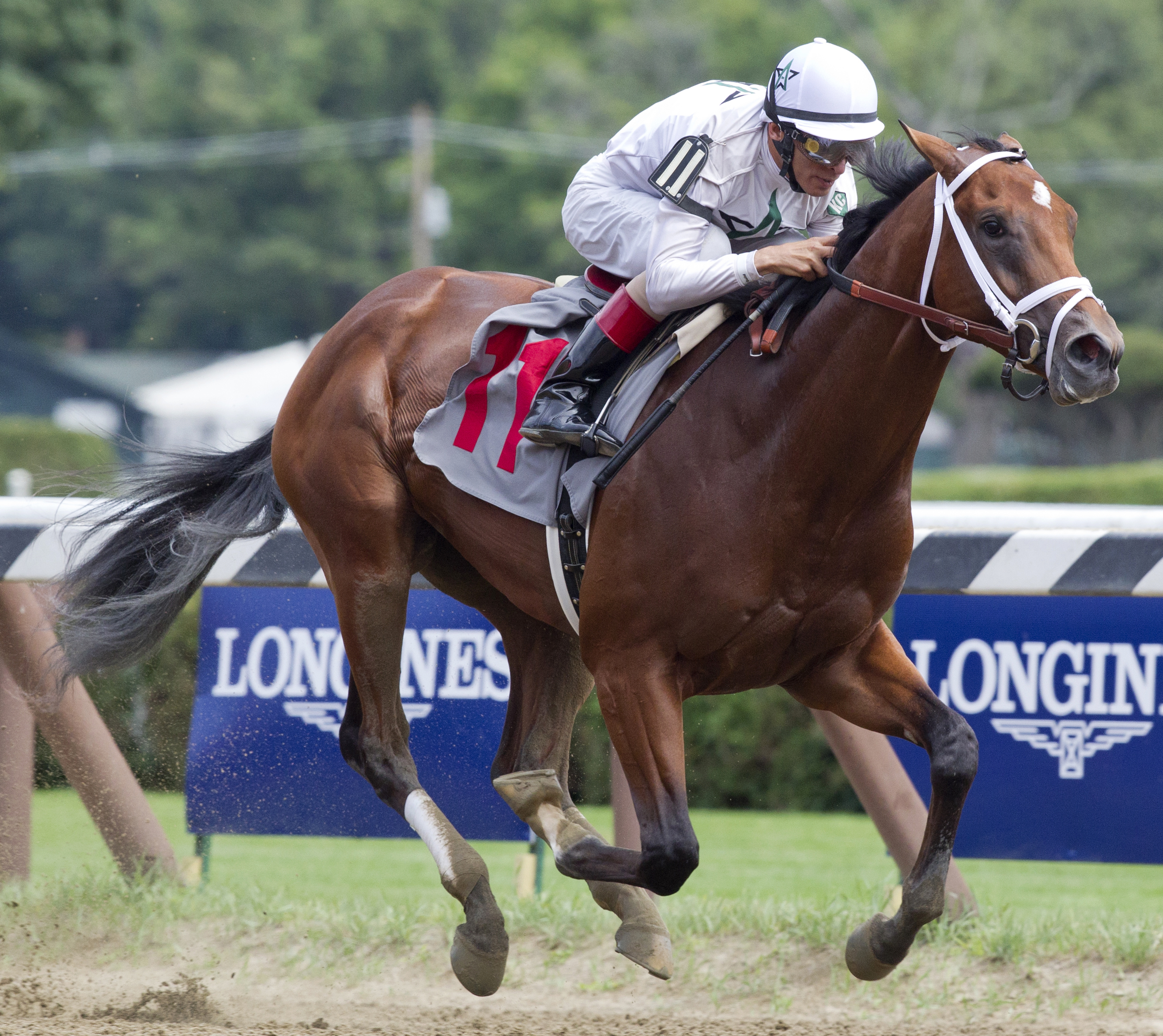 Theory wins his debut