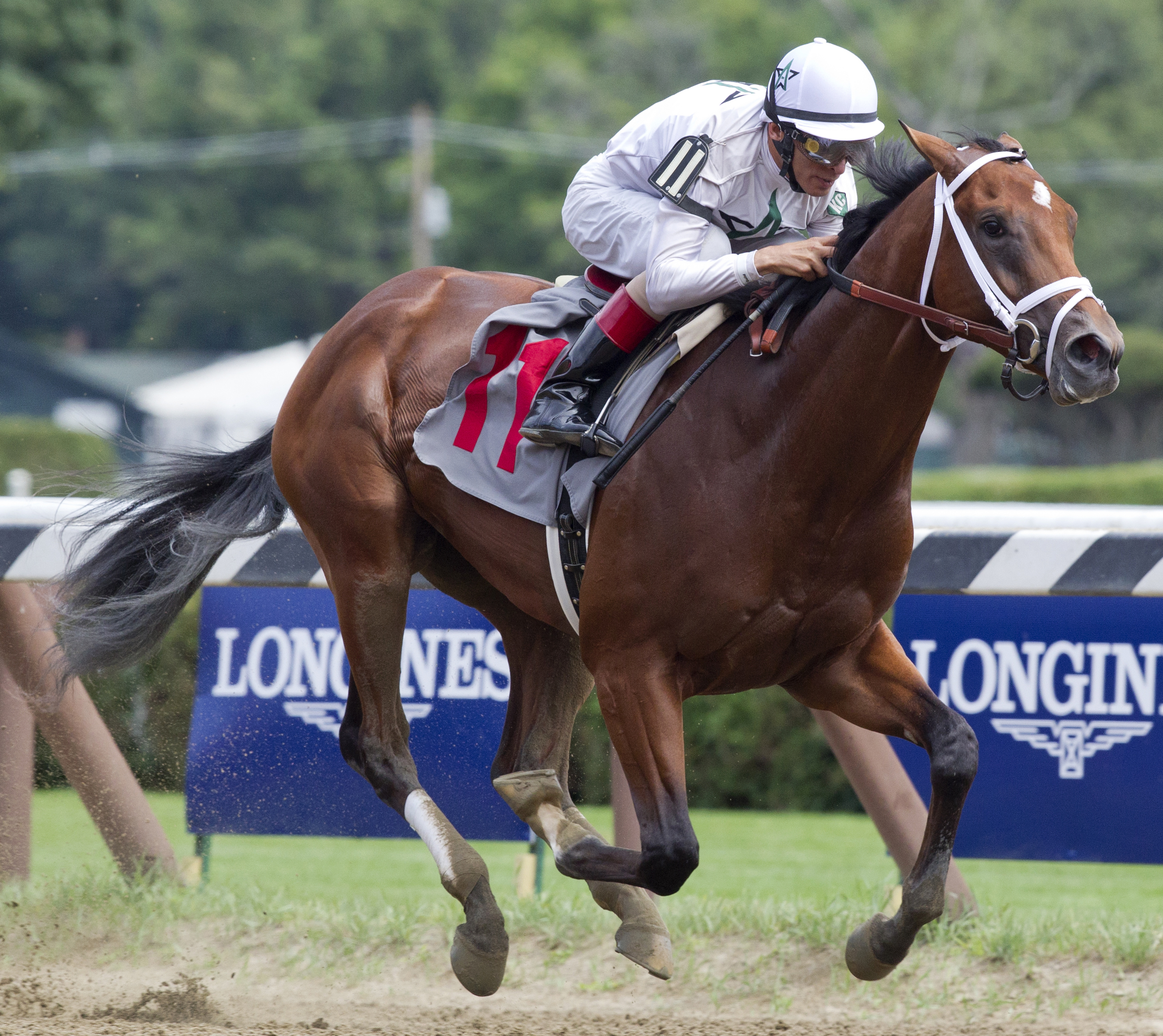 Theory wins his racing debut