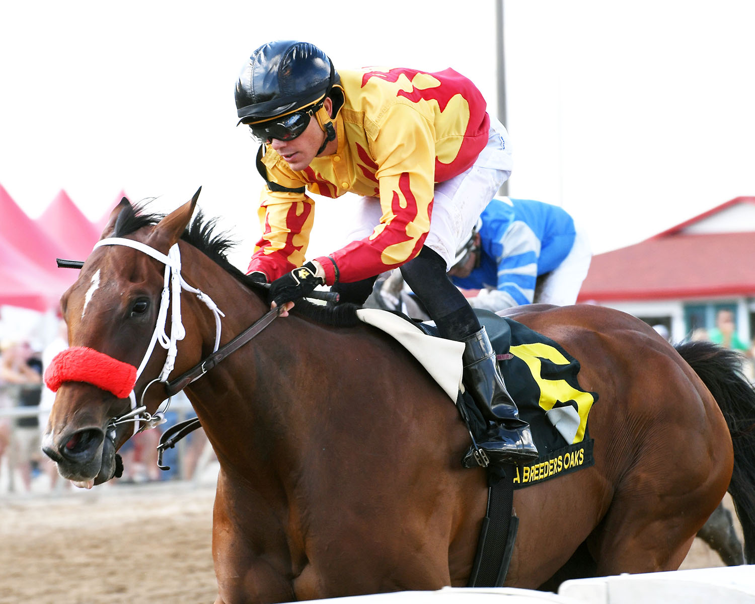 Theperfectvow wins the 2017 Iowa Breeders Oaks