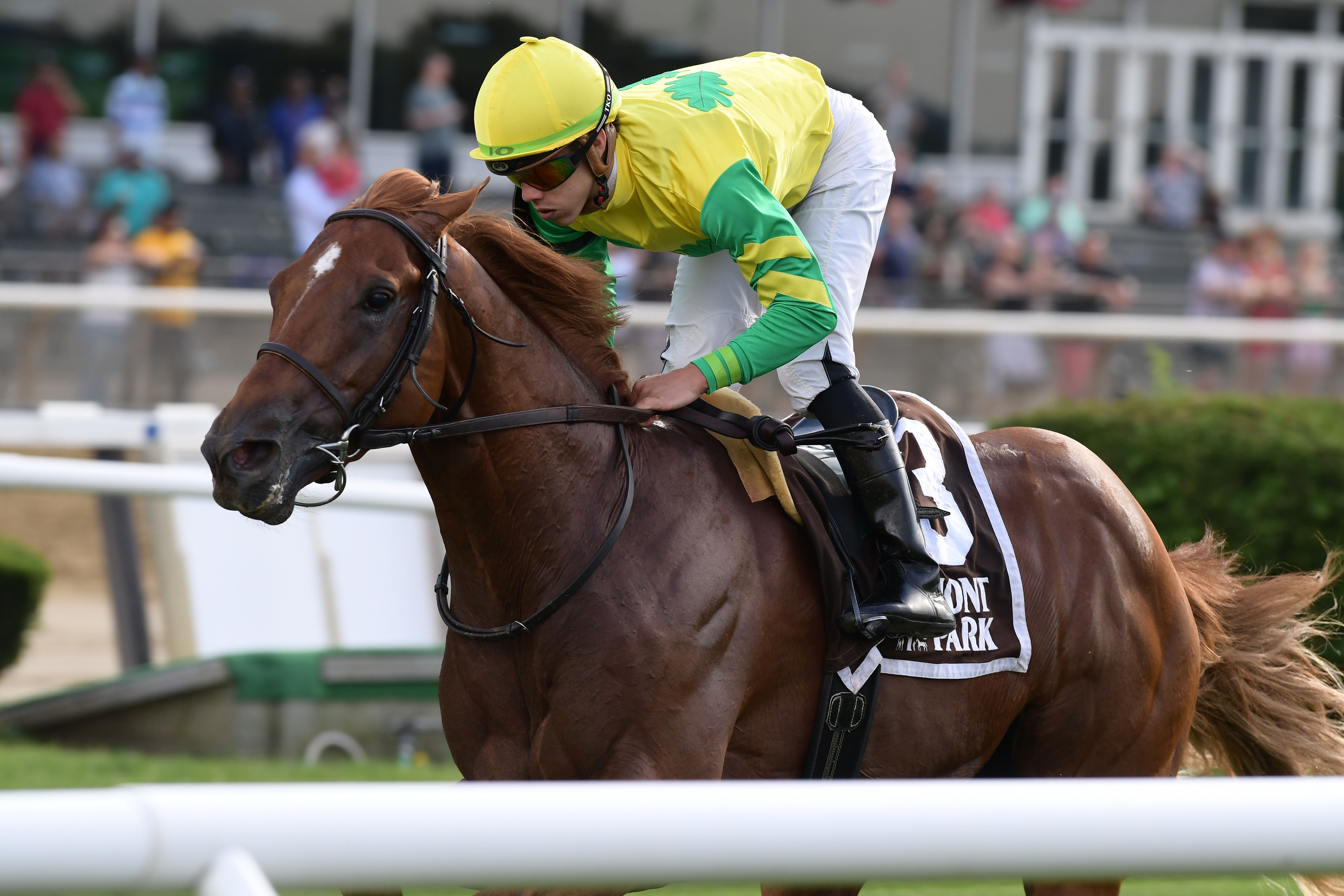 Therapist wins 2018 Spectacular Bid Stakes