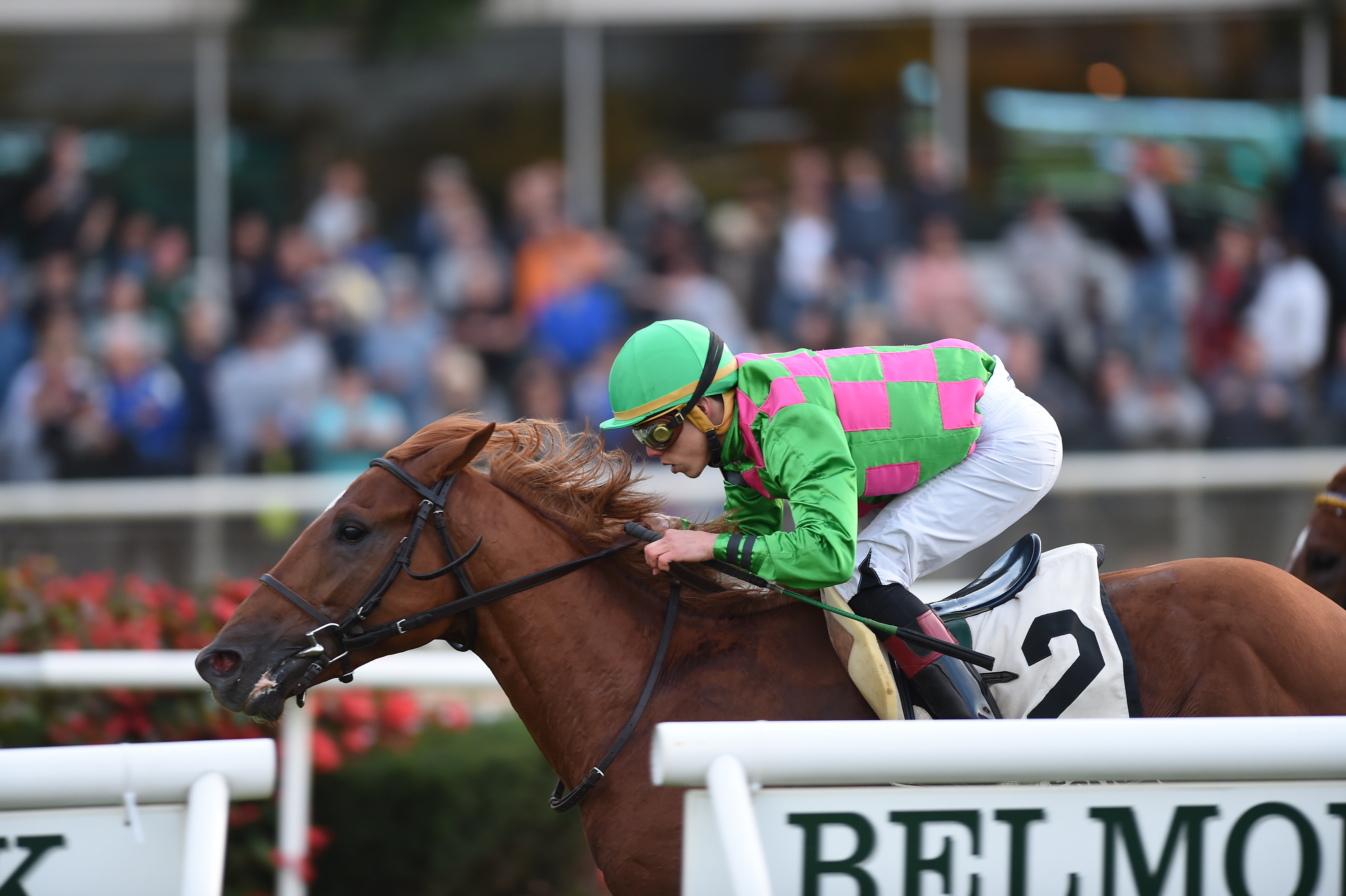 Therapist wins the 2017 Awad Stakes