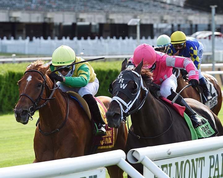 Majestic Dunhill (right) finishes second in the First Defence Stakes at Belmont