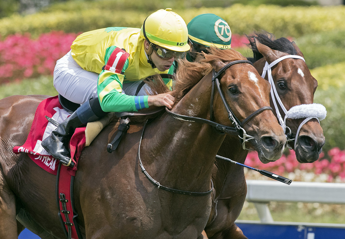 Therapist wins the 2018 Cutler Bay Stakes