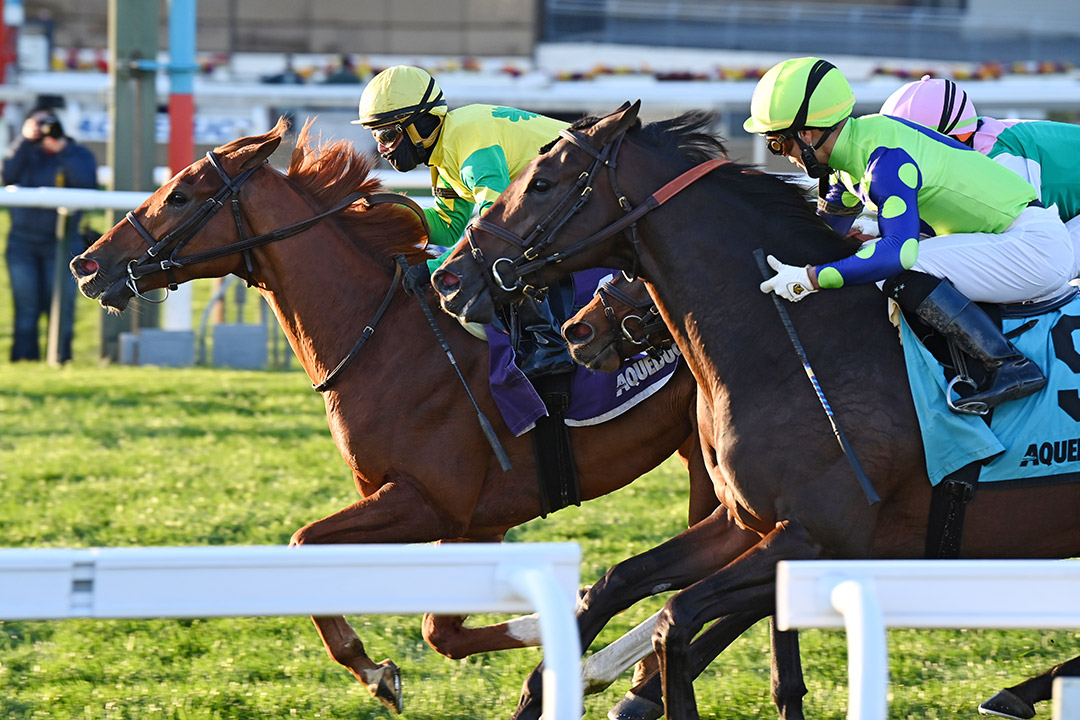 Therapist wins the 2020 Artie Schiller Stakes at Aqueduct Racetrack
