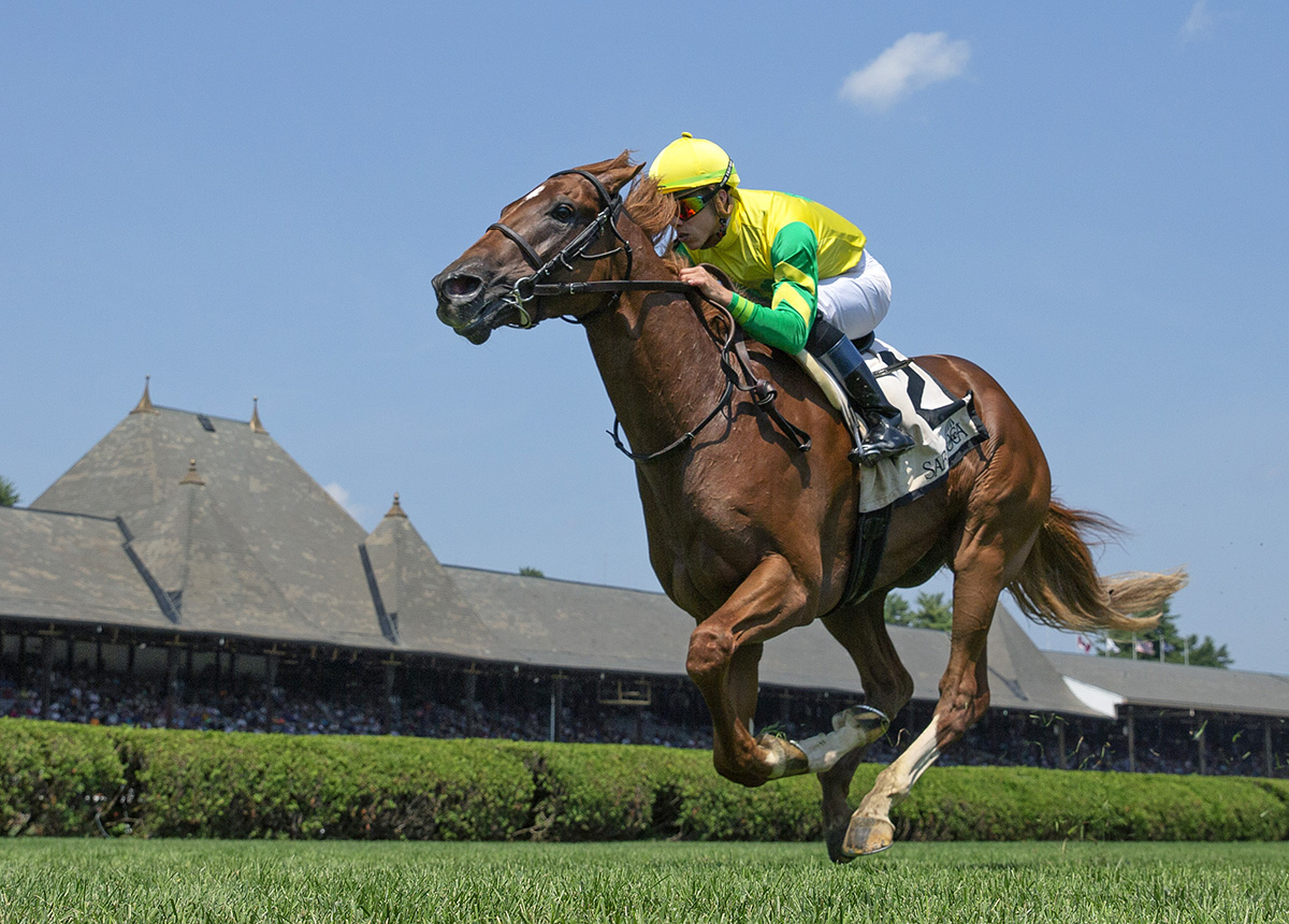 Therapist wins the 2018 Cab Calloway