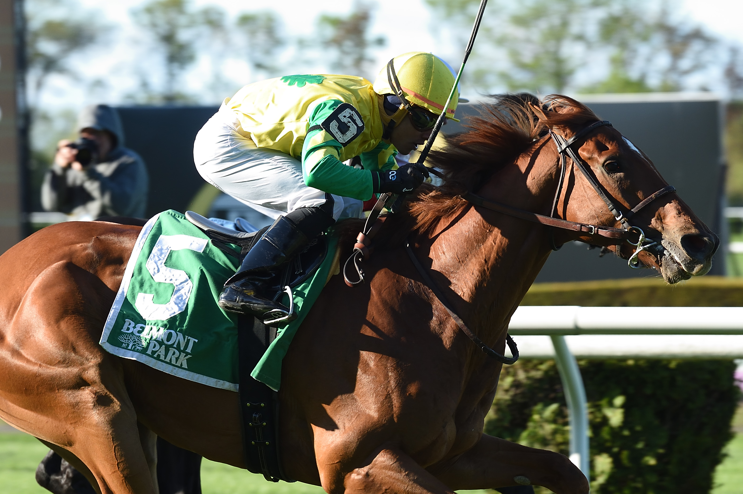 Therapist wins the 2019 Elusive Quality Stakes