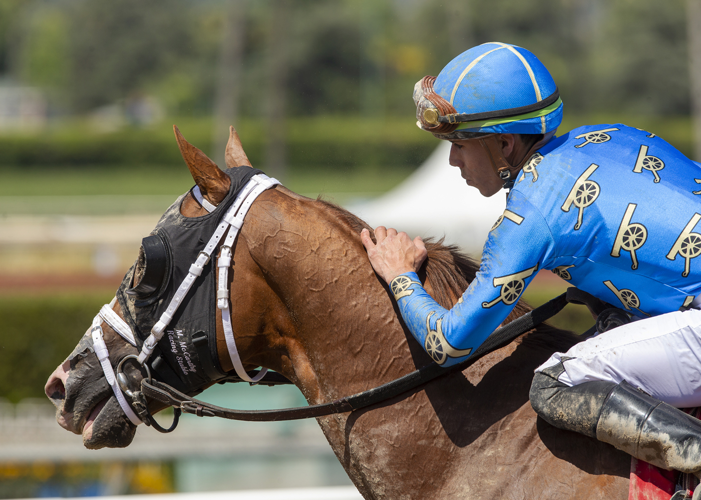 There Goes Harvard - Hollywood Gold Cup 2022
