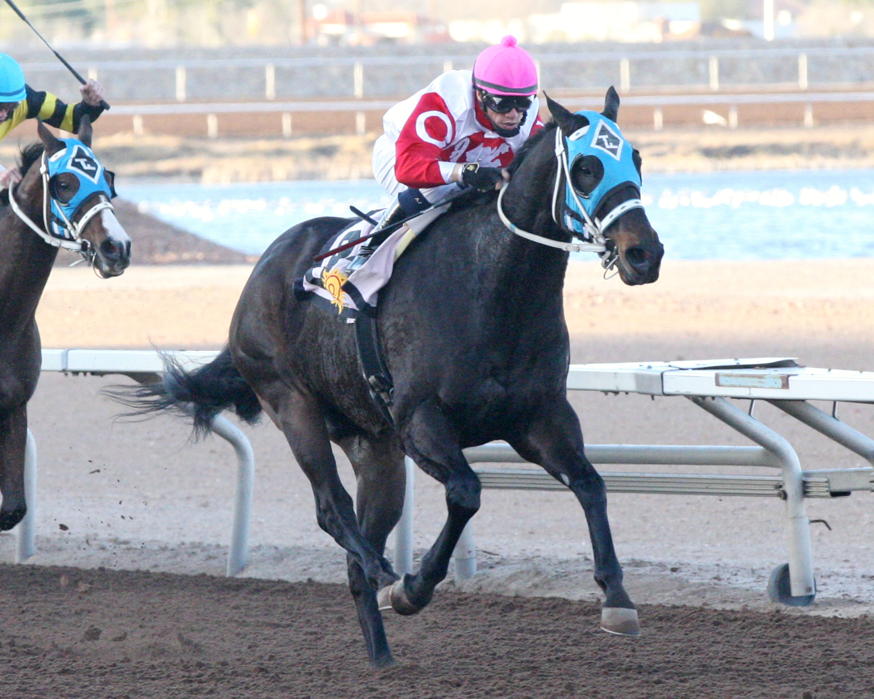 Thermal wins the Johnie Jamison Handicap