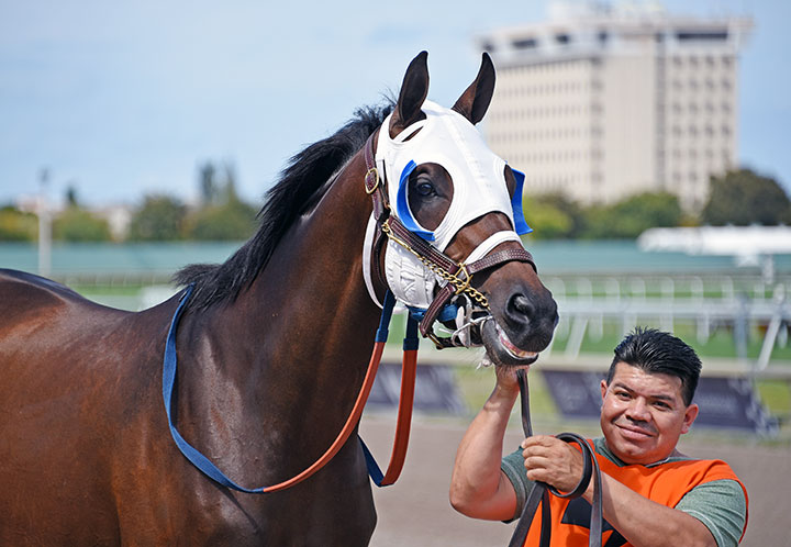 Thetrashmanscoming at Gulfstream Park in March 2019