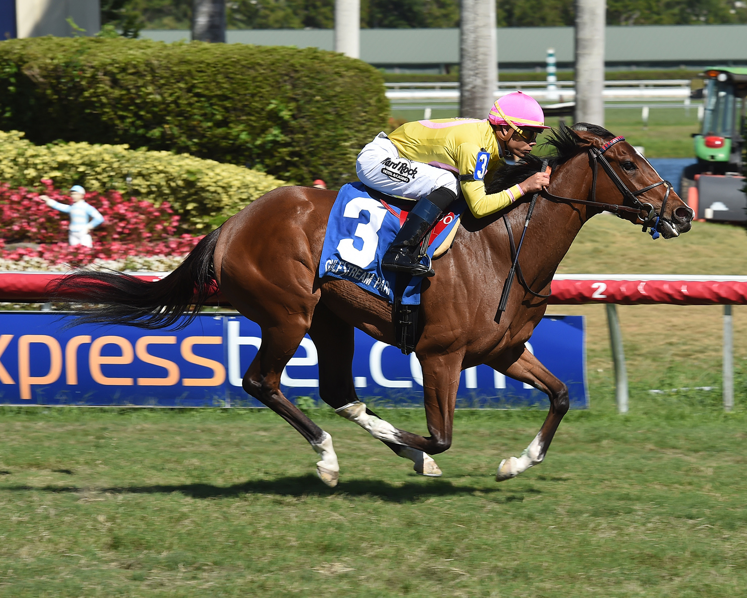 Thewayiam wins the 2018 Herecomesthebride