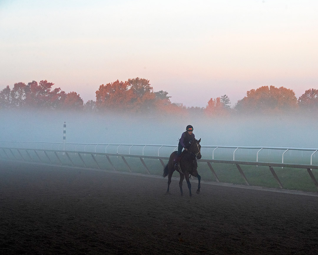 Thin White Duke at Saratoga on Oct. 22