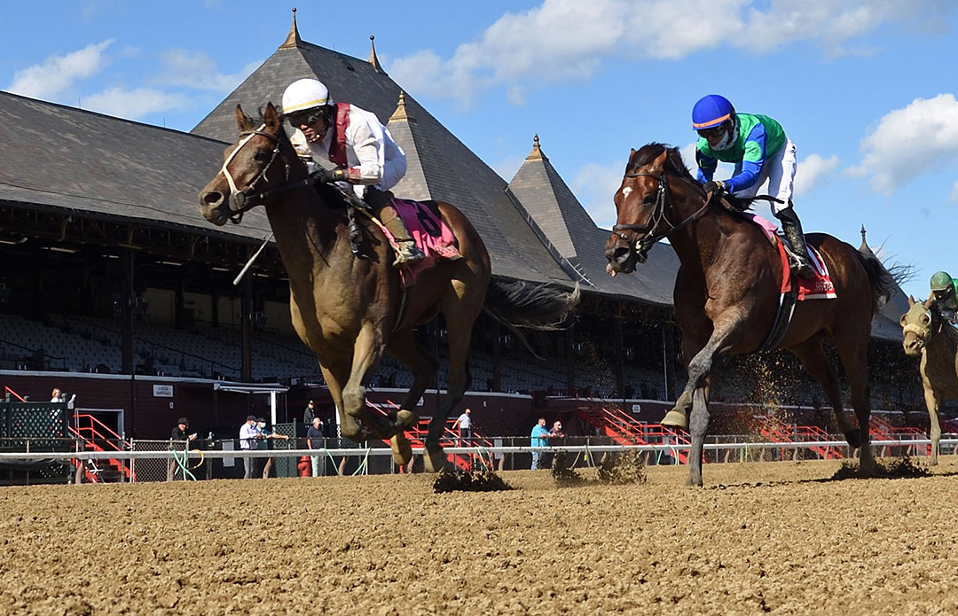 Thin White Duke (left) beats Eagle Orb in the 2020 Funny Cide at Saratoga
