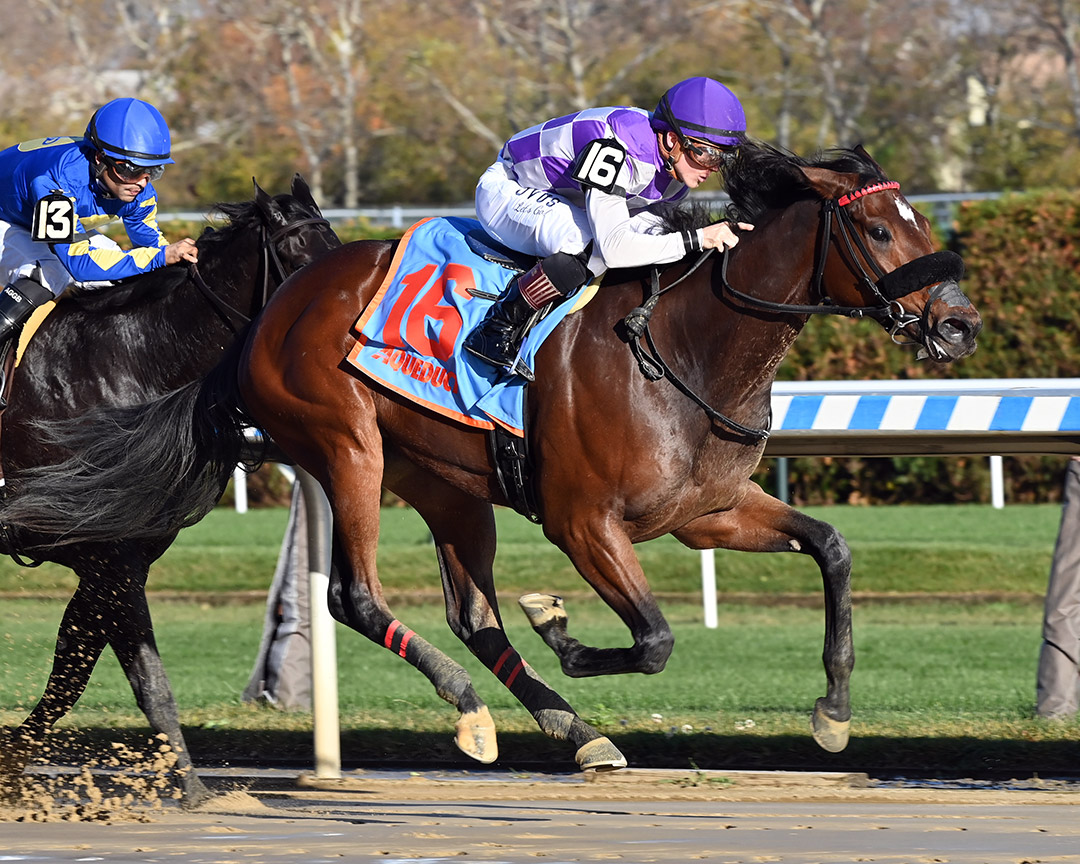 Thinking It Over wins a Nov. 12 maiden race at Aqueduct Racetrack