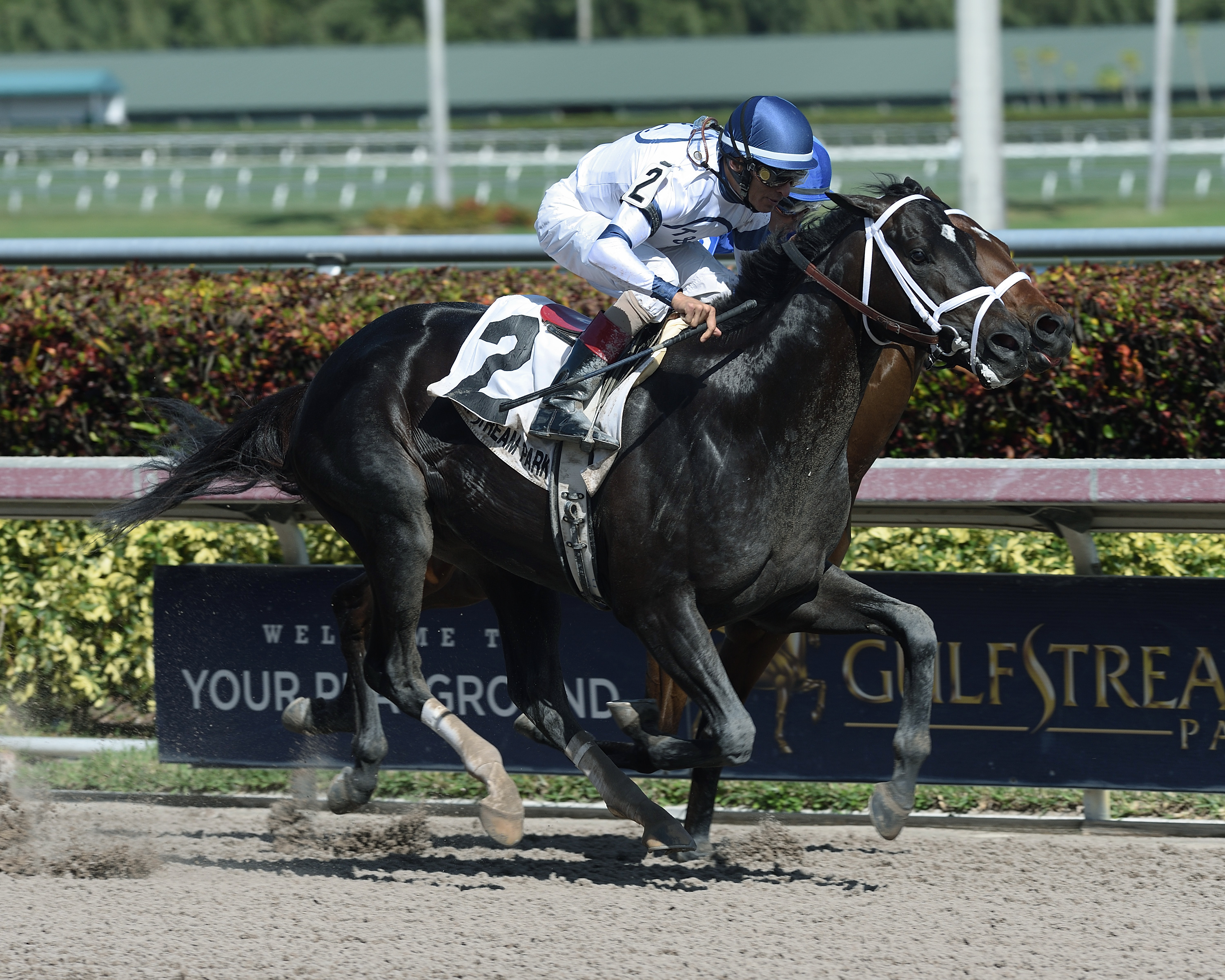Third Day wins the Just One More Stakes
