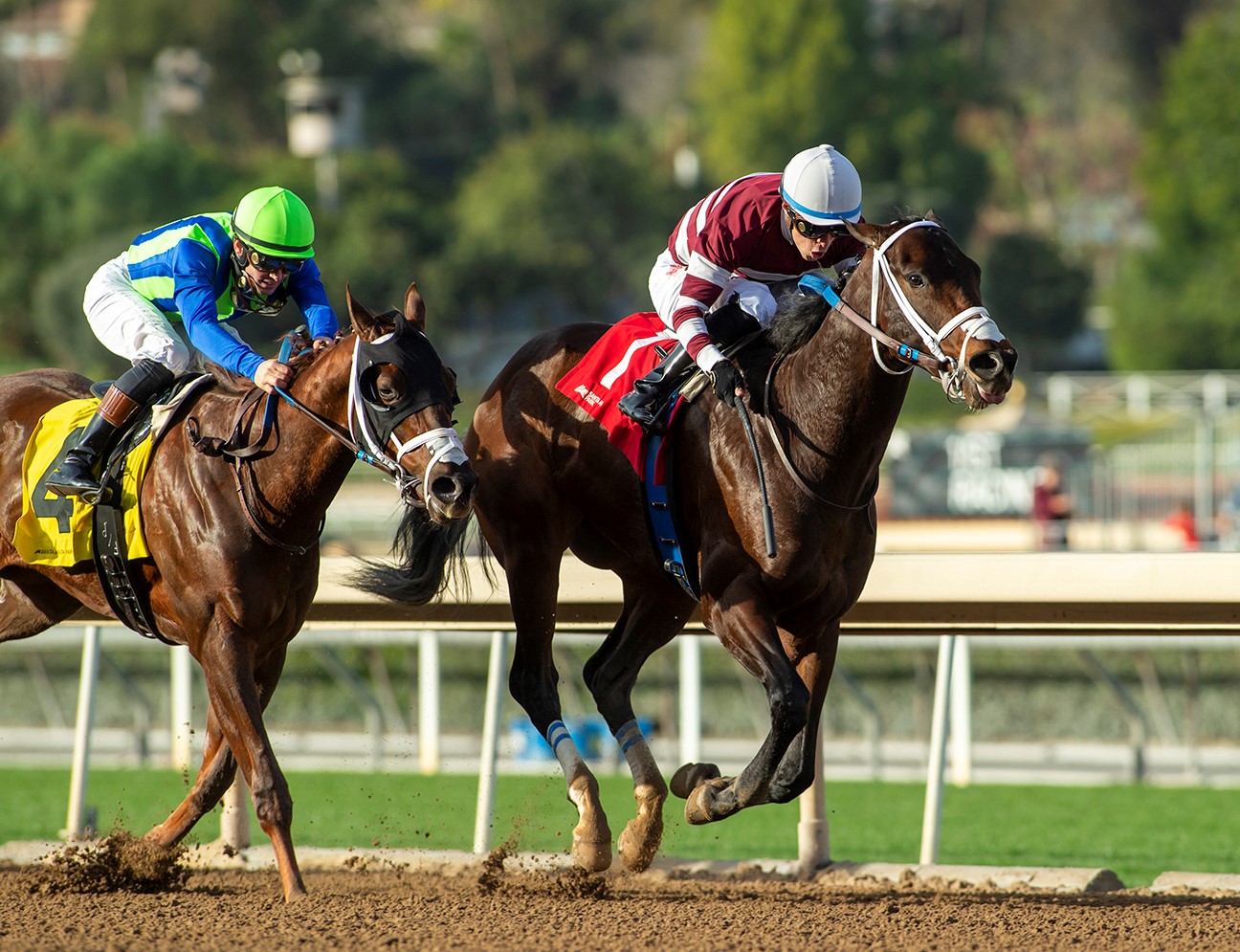 Thirsty John (right) beats Giver Not a Taker in California Cup Derby at SA Jan 7 2023