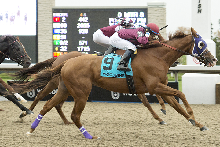 Thor-s Rocket wins the Overskate Stakes