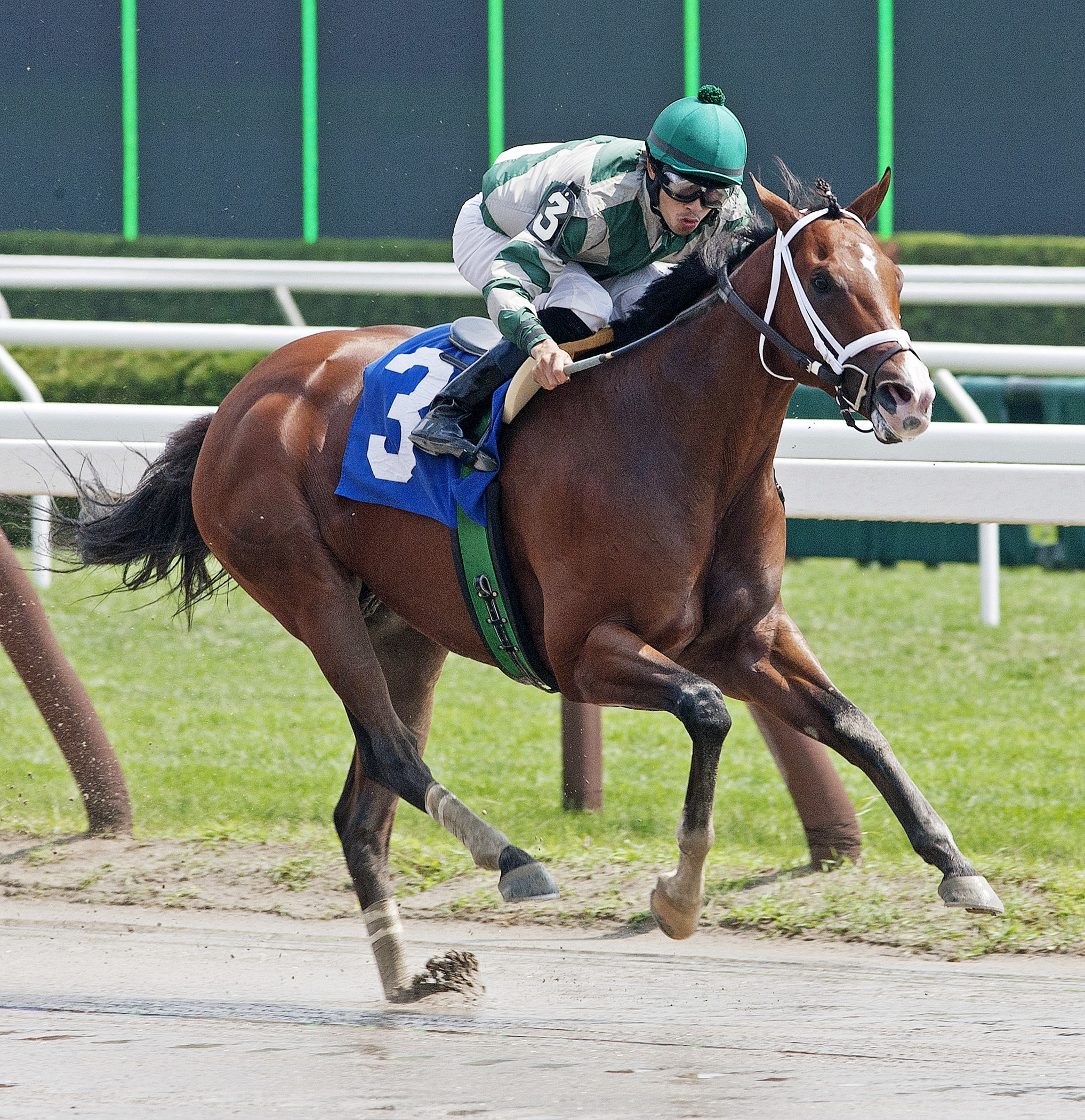 Those Wer the Days wins an allowance in 2011