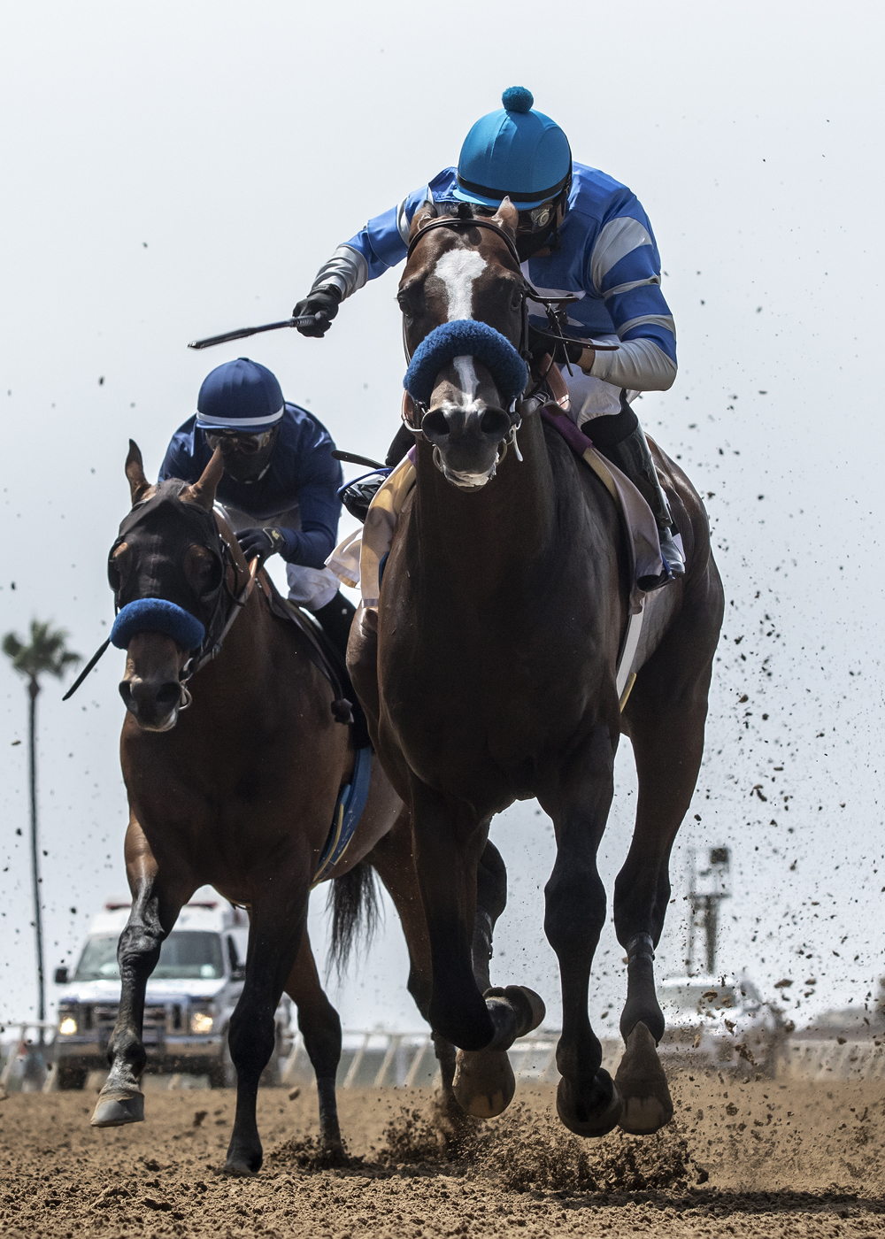 Thousand Words wins Shared Belief 8-1-2020