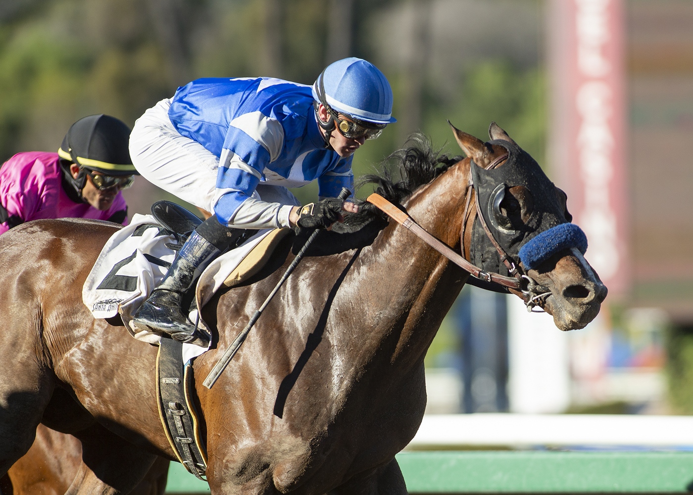 Thousand Words wins the 2020 Robert B. Lewis Stakes
