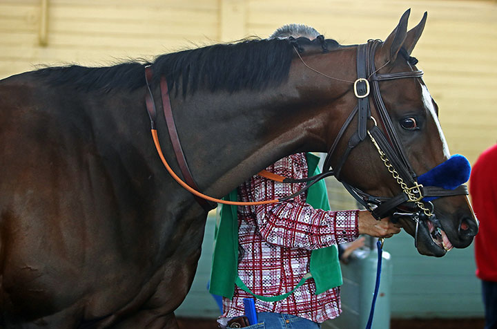 Thousand Words at Santa Anita in March 2020