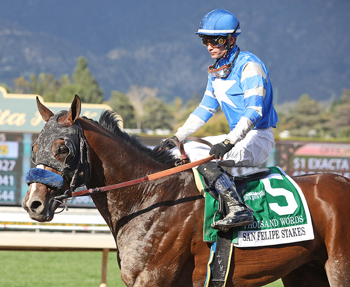 Thousand Words at the San Felipe Stakes at Santa Anita