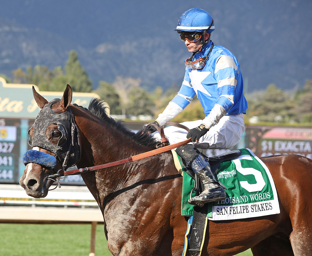 Thousand Words at the San Felipe Stakes at Santa Anita