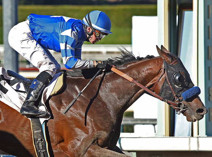 Thousand Words wins the 2020 Robert B. Lewis Stakes at Santa Anita Park