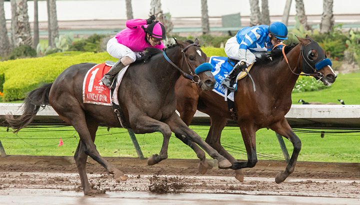 Thousand Words (right) wins the Los Alamitos Futurity at Los Alamitos Race Course