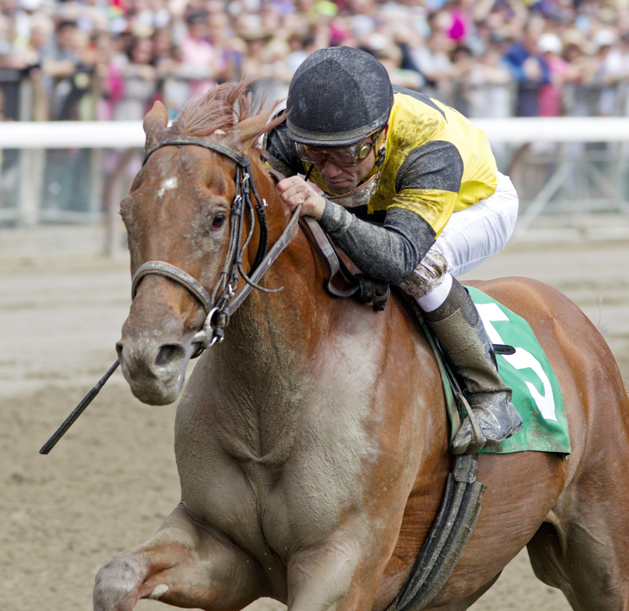 Three Alarm Fire wins a maiden race