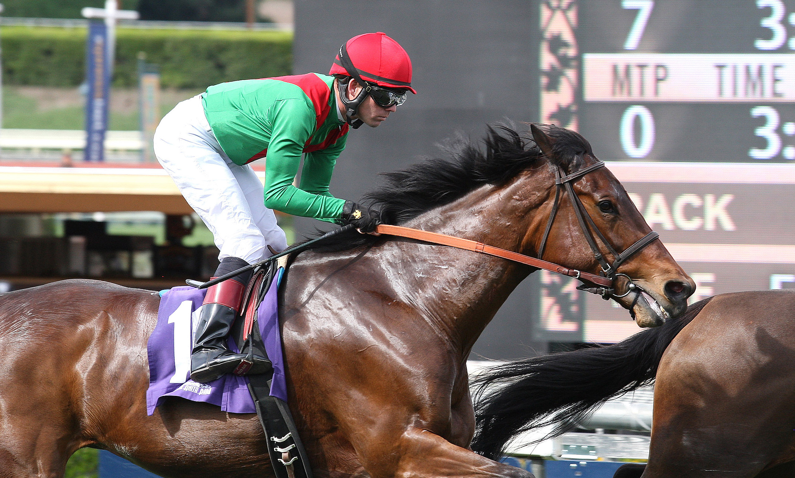 Three Hearts finishes second in the Santa Ana Stakes