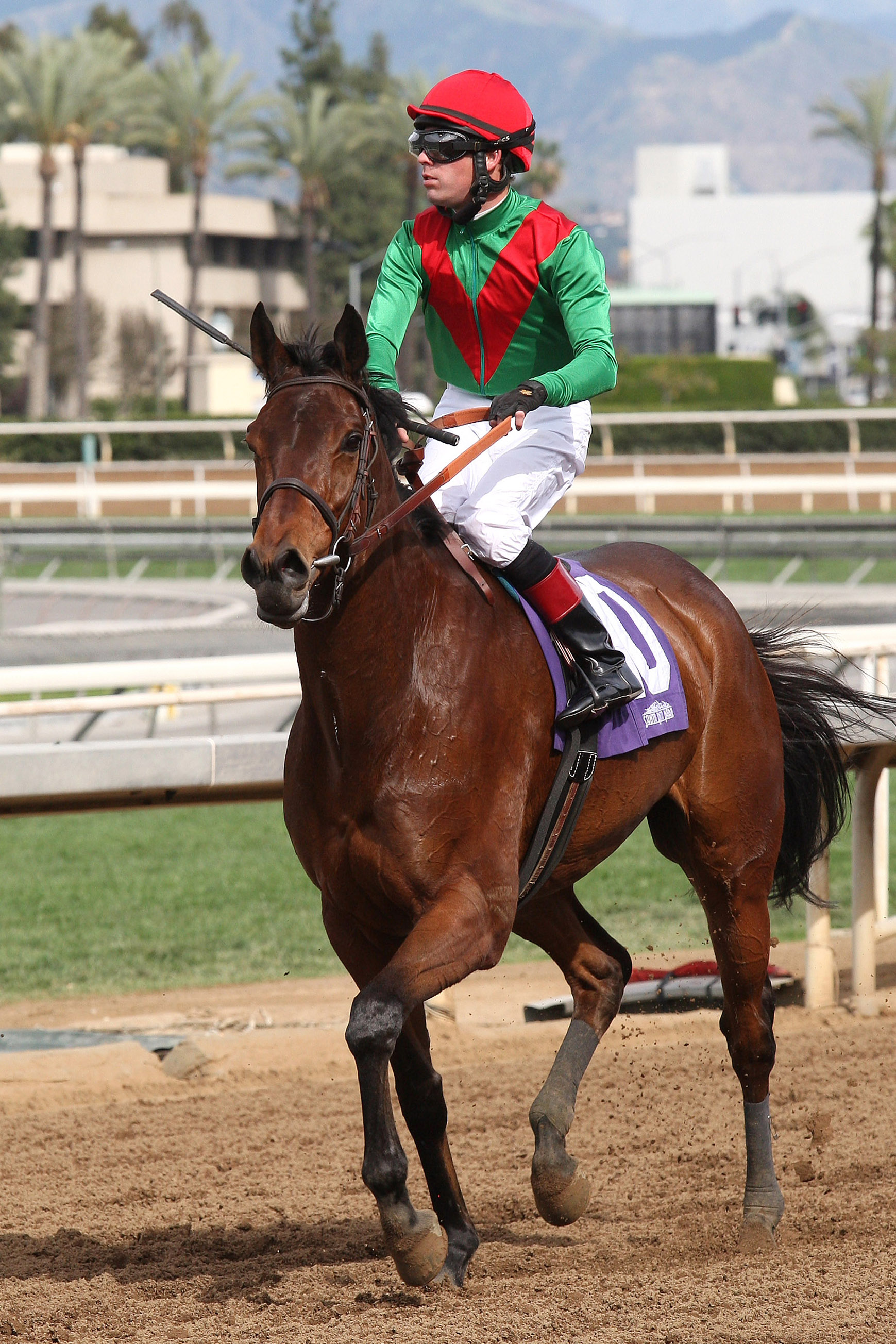 Three Hearts finishes second in the Santa Anita Stakes