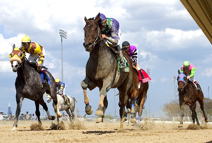 Three Hour Nap wins the 2006 NJC Handicap